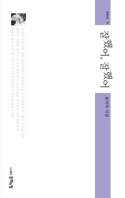 잘했어,잘했어:용미자시집