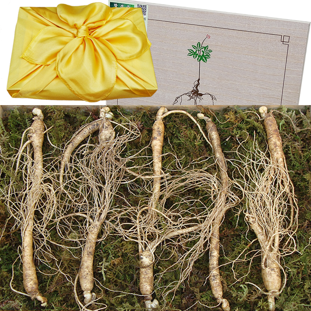 아리아리<b>산삼</b> 6년근 10뿌리 장뇌삼 <b>산양삼</b> 선물세트