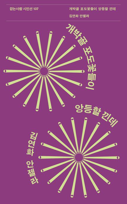 개박골 포도꽃들이 앙등할 낀데 / 지은이: 김연화 안젤라