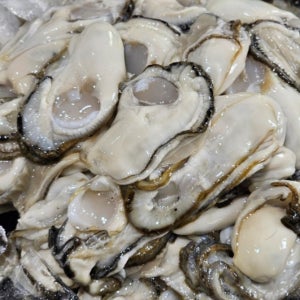 바다향 가득 실한 최상급 통영 햇 생굴 중대굴 1kg