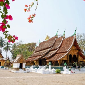 라오스 꽝시폭포 비엔티안 튜빙 탁발 블루라군