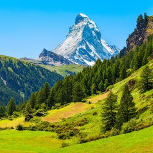 스위스직항 비즈니스 스위스 완전일주 8일