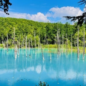 오타루 여행 관광지코스 일본 온천 신혼여행 자연 음식 북해도 홋카이도 노보리베츠여행 트래블