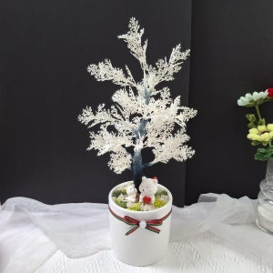 크리스마스선물 편백나무,    꽃따지