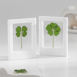행운 네잎클로버 코팅카드+케이스2매 생화 압화 새해선물, 클로버데이