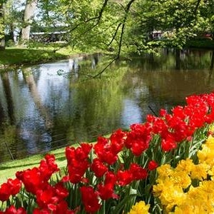 노랑풍선 연인 패키지 유럽 여행 노옵션