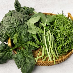 겨울 생나물 세트(유채나물 세발나물 섬초)