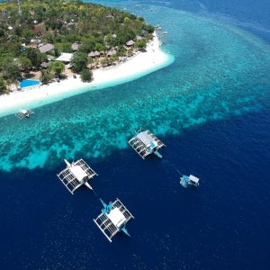 부산출발 필리핀 보홀여행 라메디 돌핀베이 리조트추천