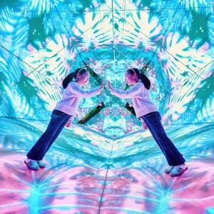 [과천] 원더파크