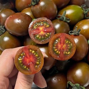 대저 흑 대추 방울 토마토 3kg 흑방울토마토 대저방울토마토 대저토마토 흑토마토 찰토마토