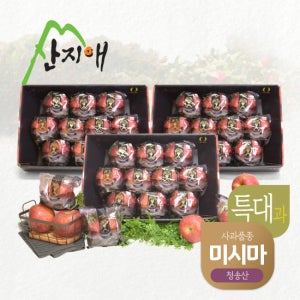 산지애 블랙라벨 특대 사과 9kg (3kg*3박스) / 청송 미시마 세척사과 TV상품