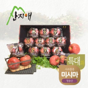 산지애 블랙라벨 특대 사과 3kg / 청송 미시마 세척사과 TV상품