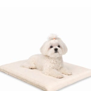 에어코일 베이지 펫베드 40x50 65x50 75x60