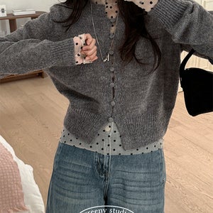 잉글리시 도트 메쉬 레이어드 시스루 티셔츠 (2 colors)