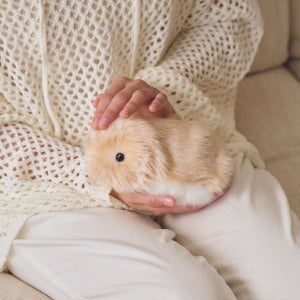 카시오 Moflin AI 기니피그 애완 동물 로봇