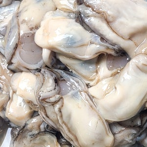 통영 생굴을 기계 수압으로 작업해 더 위생적인 깐 생 굴 1kg