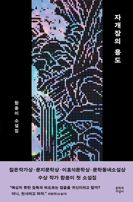 자개장의 용도 : 함윤이 소설집 표지