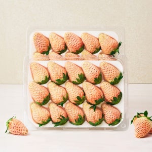 [아침 수확, 새벽 도착] 국내 1호 하얀딸기, 만년설 딸기 350g / 700g이상(특품)