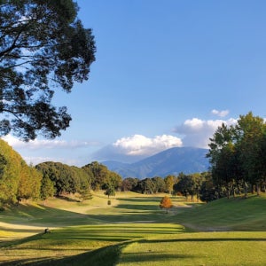 일본시코쿠 에어텔 다색골프 도고 일본소도시 이마바리숙박