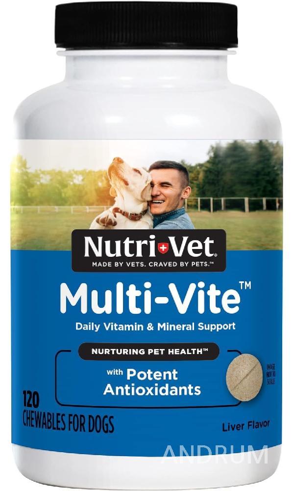 <b>뉴트</b>리벳 <b>멀티</b>바이트 하루 비타민 <b>미네랄</b> 서포트 180츄어블정