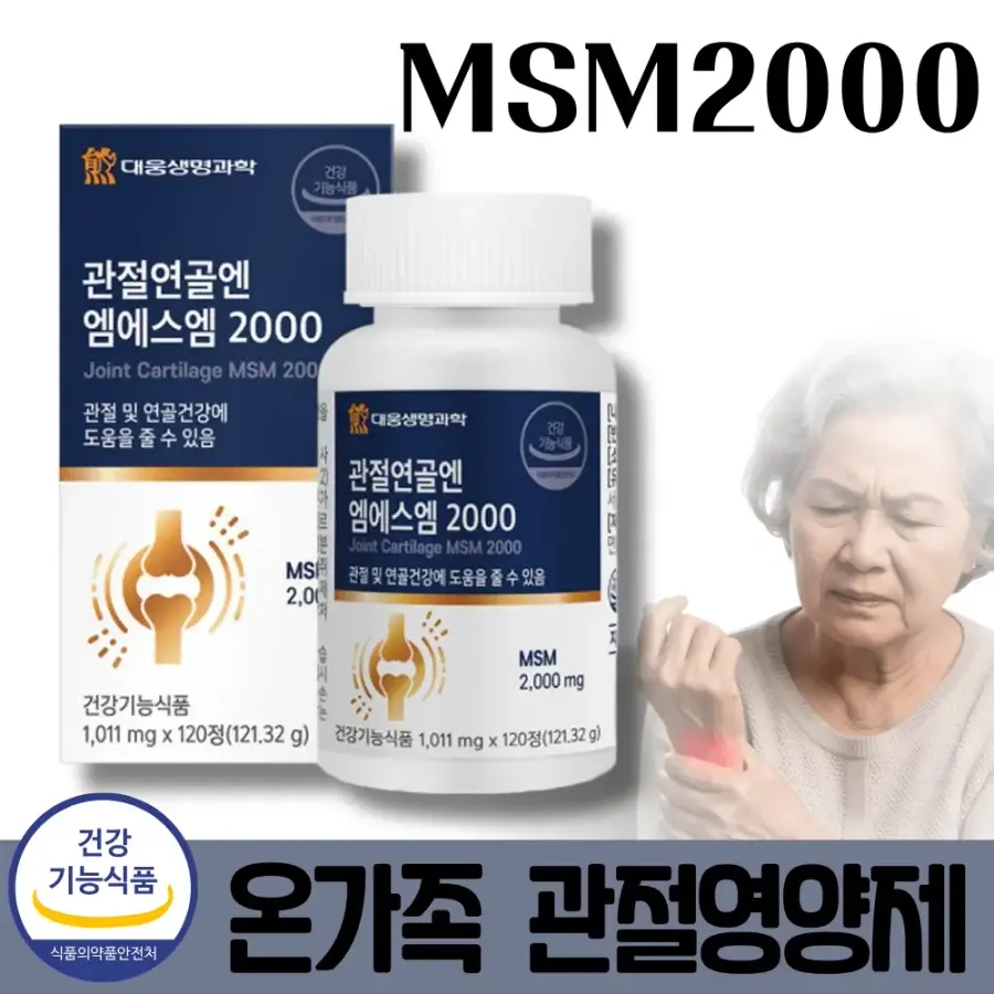 MSM2000