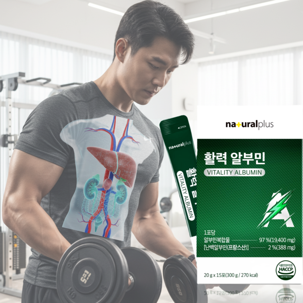 [약사추천]웰핏컴퍼니 단백질보충 활력보충 알부민  4박스