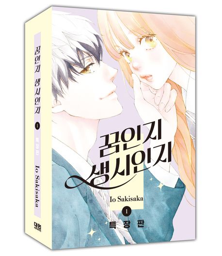 꿈인지 생시인지 1 특장판