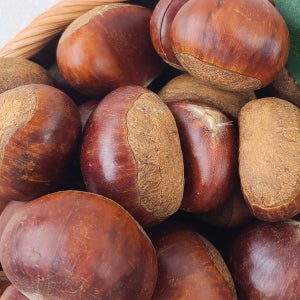 부여 대보밤 1kg