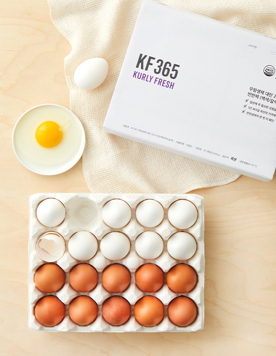 KF365 갈색 반속란  제품 이미지