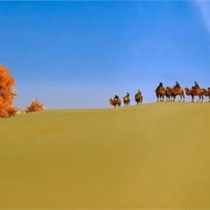 카슈에서 투르판까지 5일간의 럭셔리 여행