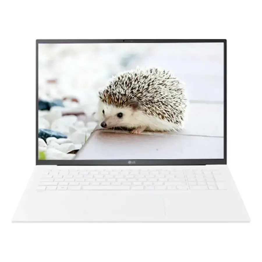 LG전자 LG그램17 17Z90S-GALGL SSD 512GB