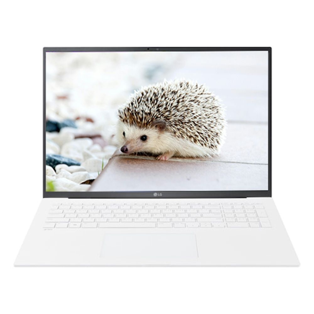 LG전자 LG그램17 17Z90S-GALGL SSD 1TB