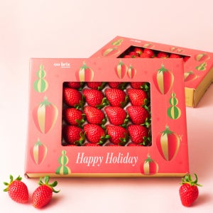 [새벽에On] 국내 최고급 품종, 고당도 산청 금실 딸기 400g / 750g (특품)