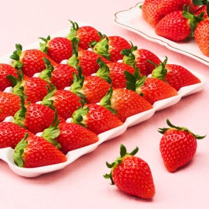 [아침 수확, 새벽 도착] 국내 최고급 품종, 고당도 산청 금실 딸기 750g (35입/특품)