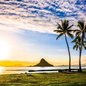가성비 패키지 하와이리조트인기 가족여행지 노쇼핑 역대급특가 미국가격인하 특급