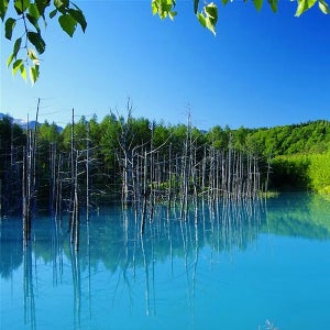 삿보로 패키지 삿포로 3박4일 설탕온천 노보리벳츠 삿뽀로여름여행 특가