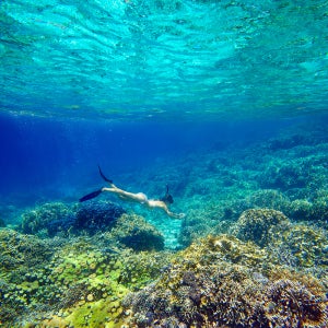 강력추천 5월 6월 세부 3박5일 황금연휴 좌석확보