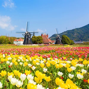 훗카이도삿포로 패키지 홋카이도 3박4일 3대온천마을 JR타워 전망대 삿포로패키지여행 특가