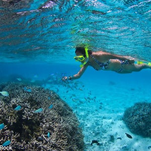 2월 설연휴 해외가족여행 홈쇼핑 괌여행 3박4일 괌PIC 골드 소셜커머스 티몬전용 코스