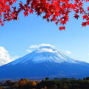 한정특가 3박4일 일본여행 연말연시 특급온천 돗토리 요나고 마츠에 부산출발 마쓰에여행