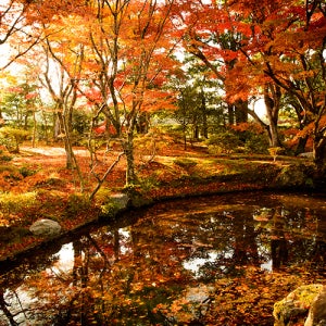 3박4일 패키지 초특가 힐튼숙박 유류세포함 북큐슈 디럭스 룸 특전 여행상품