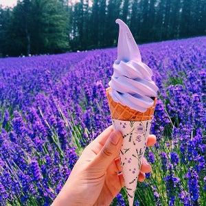 12월홋카이도 패키지 홋카이도 3박4일 온천1박 삿포로2박