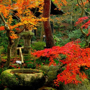 북해도 패키지 홋카이도 3박4일 하코다테 야경투어 가족해외여행