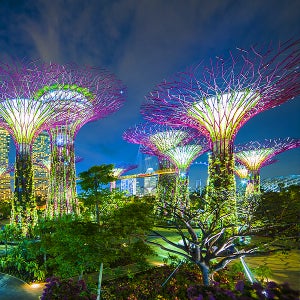 단풍구경 싱가포르싱가포르여행 패키지 싱가포르 5일 4성호텔 마리나베이샌즈1박 샹그릴라뷔페