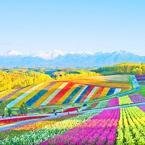 일본온천여행2박3일 패키지 홋카이도 3박4일 노쇼핑 노옵션 6월