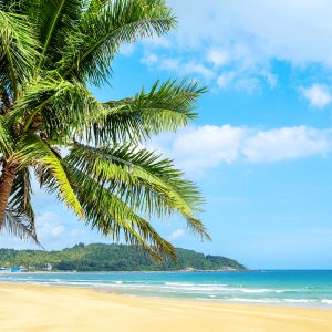 긴급모객 하이난여행 패키지 3박5일 특전포함 하이난 맹그로브 리조트