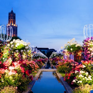 일본의관광명소 3박4일 대한한공 온천2박 홋카이도 게요리