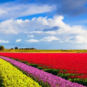 일본4박5일여행 패키지 홋카이도 3박4일 6월 북해도 가족해외여행