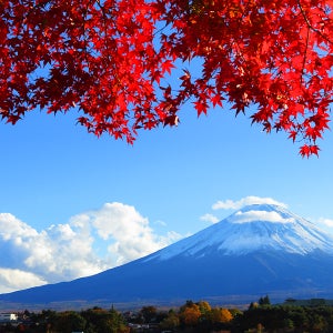 일본여행비수기 규슈 2박3일 우레시노칸 온천호텔 특식