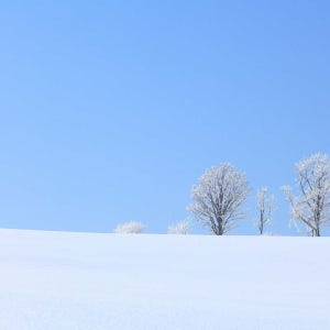 선착순30만원할인 북해도 4일 ＃설연휴＃대한항공＃전세기＃출발확정